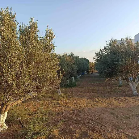 Eleonas 2 Appartement *