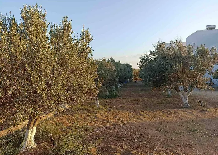 Eleonas 2 Appartement *